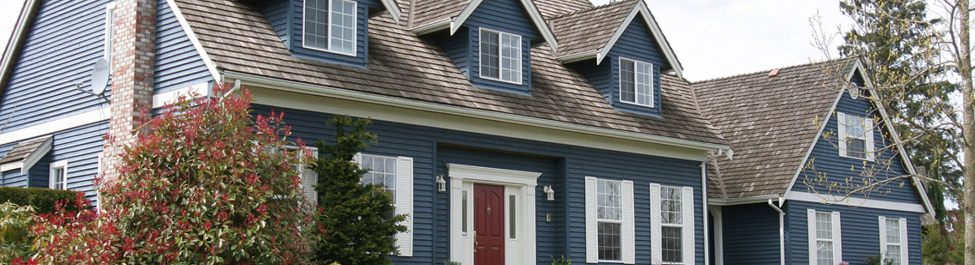 Blue House in suburban area in Michigan